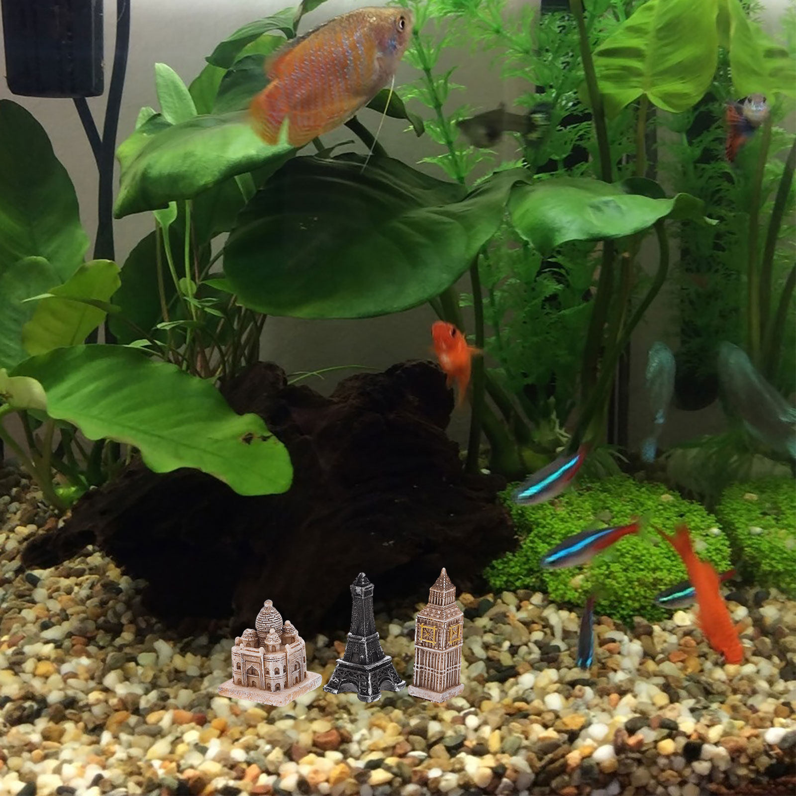 Aquarium & Marine Museum Universiti Malaysia Sabah Kota Kinabalu Sabah Photos - 7Pcs 미니어처 로마 동상 상세한 수지