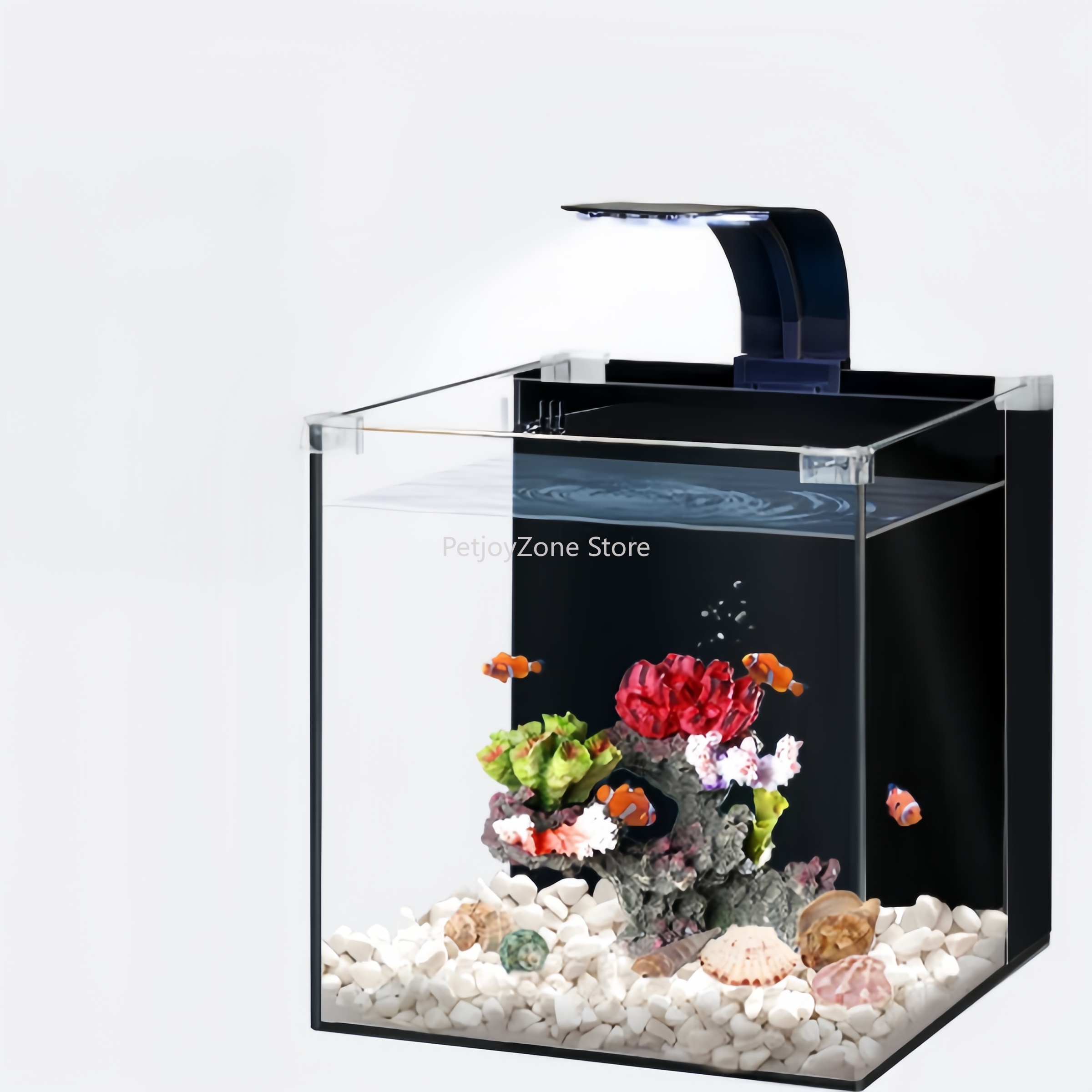 Marine Aquarium In Clearwater - 초투명 유리 고급 미니 해수어항 거실용