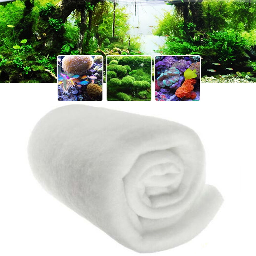 1PC 물고기 탱크 120cm X30cmx0.5cm 수 - Marine Aquarium Bacteria 리뷰 및 가격