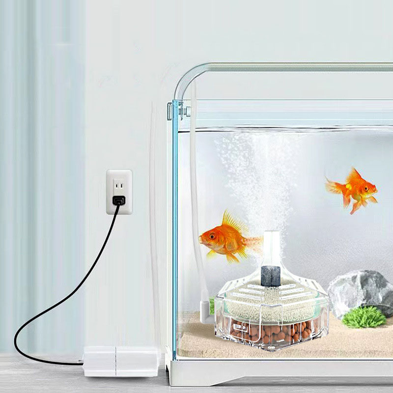 초박형 수족관 어항 여과기 투명 생화학 스폰지 필터 소 - Marine Aquarium Bacteria 리뷰 및 가격