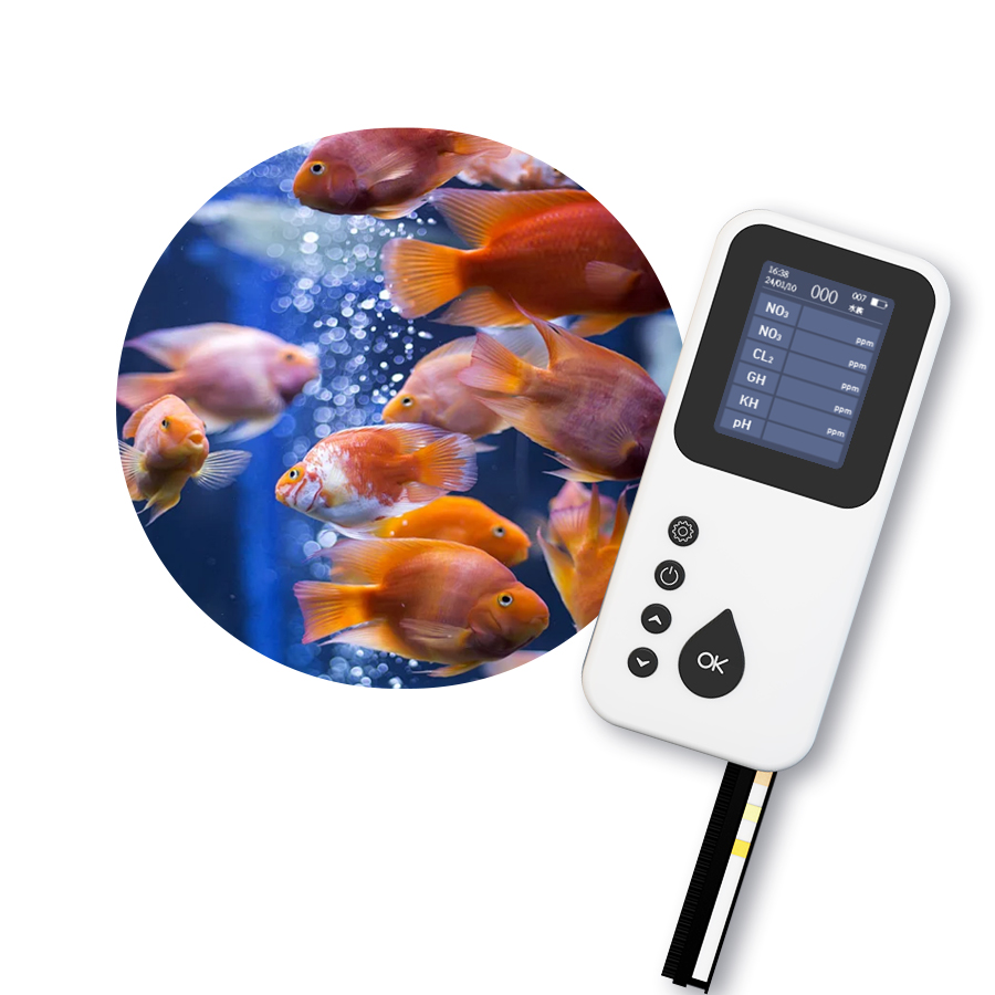휴대용 TS-1000 디지털 수질 테스터, 염수 및 담 - Aquarium & Marine Museum Universiti Malaysia Sabah Kota Kinabalu Sabah Photos 리뷰 및 가격