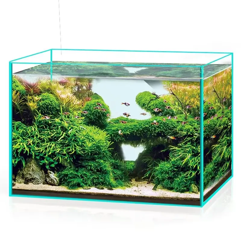 초투명 유리 수족관, 모든 크기 맞춤 제작 가능, 담수 - Marine Aquarium In Clearwater 리뷰 및 가격
