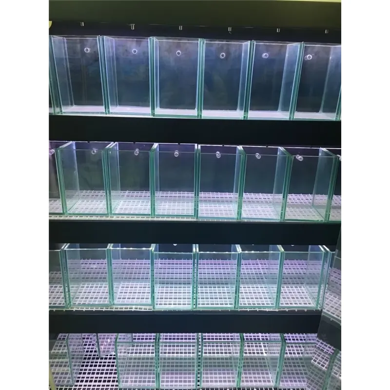 초투명 유리 수족관, 모든 크기 맞춤 제작 가능, 담수 - Marine Aquarium In Clearwater 리뷰 및 가격