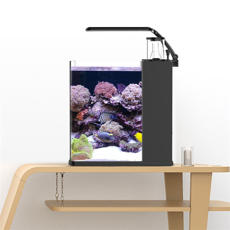 스카이누오 울트라 클리어 글래스 미니 해수어항 미디어  - Marine Aquarium In Clearwater 리뷰 및 가격