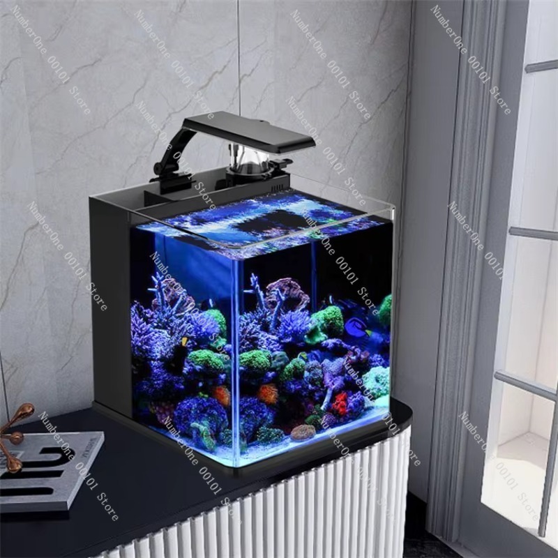 초투명 유리 미니 해수 해양 수족관 (해양 나노 산호초 - Marine Aquarium In Clearwater 리뷰 및 가격