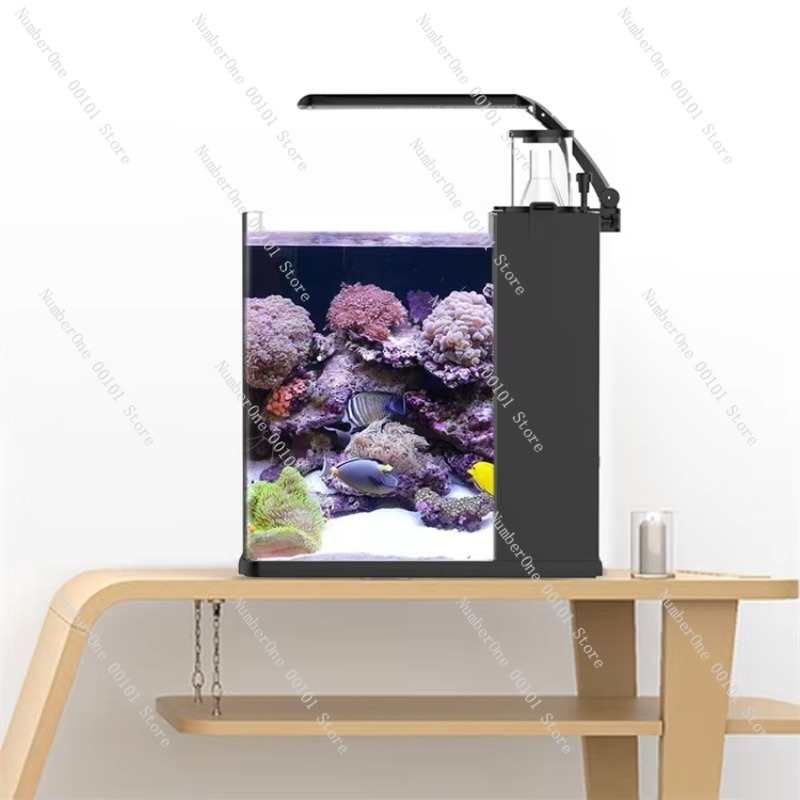 초투명 유리 미니 해수 해양 수족관 (해양 나노 산호초 - Marine Aquarium In Clearwater 리뷰 및 가격