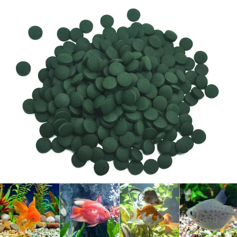 50-300개 고순도 스피룰리나 정제 나선형 해조류 강 - Marine Aquarium Bacteria 리뷰 및 가격