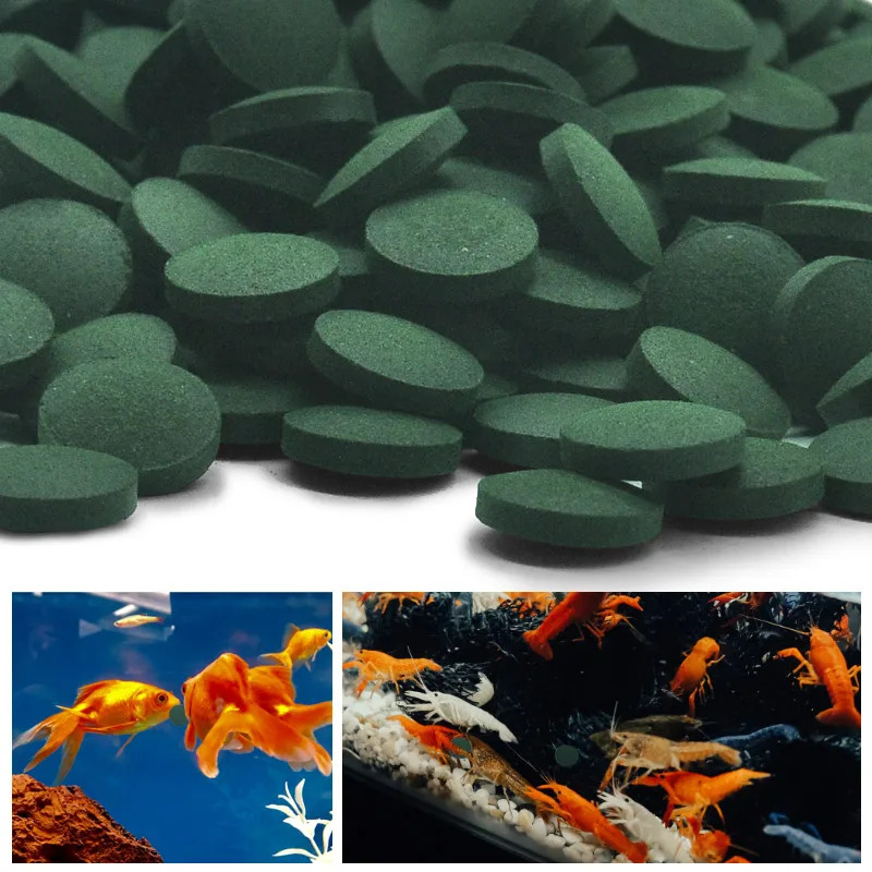 50-300개 고순도 스피룰리나 정제 나선형 해조류 강 - Marine Aquarium Bacteria 리뷰 및 가격