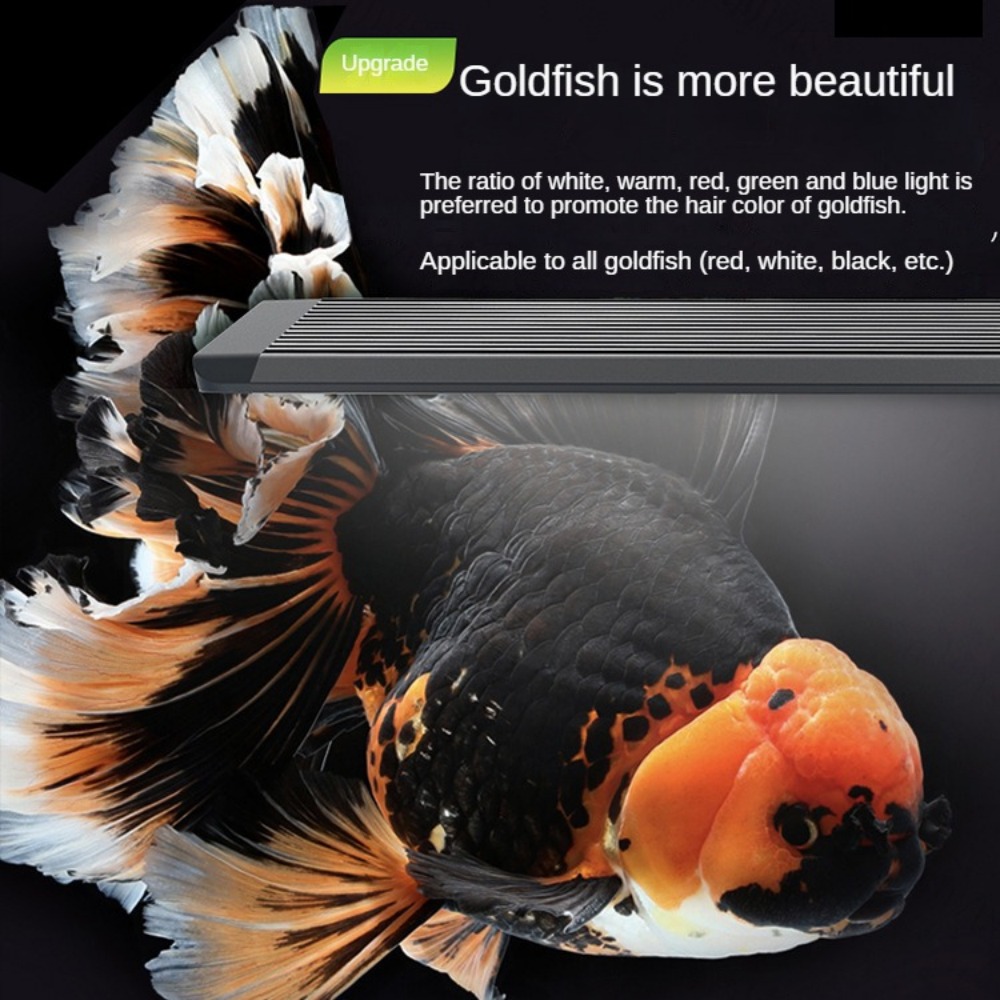 광학 렌즈가 있는 수족관 조명 LED 어항 수족관 밝기 - Marine Aquarium In Clearwater 리뷰 및 가격