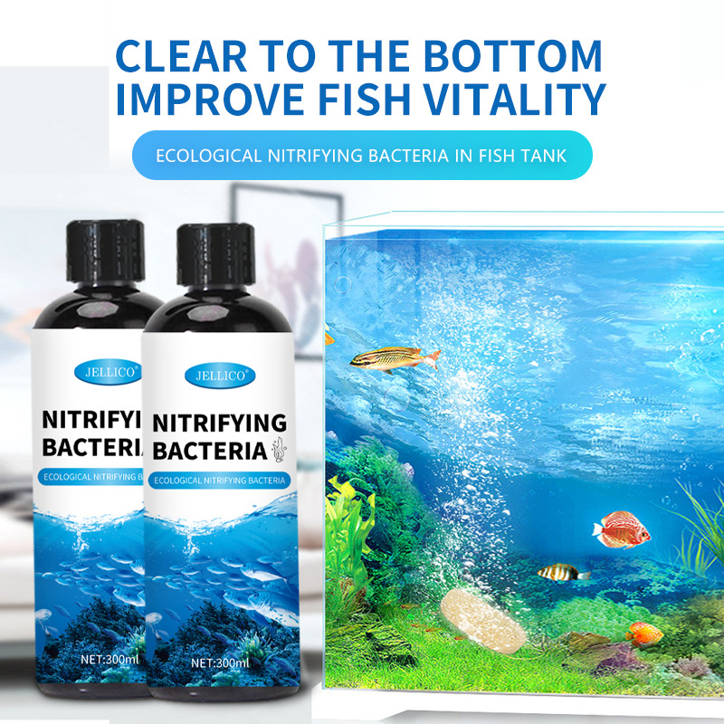 300ml 질산화 박테리아 수족관 물 정화기 물고기 배 - Marine Aquarium In Clearwater 리뷰 및 가격