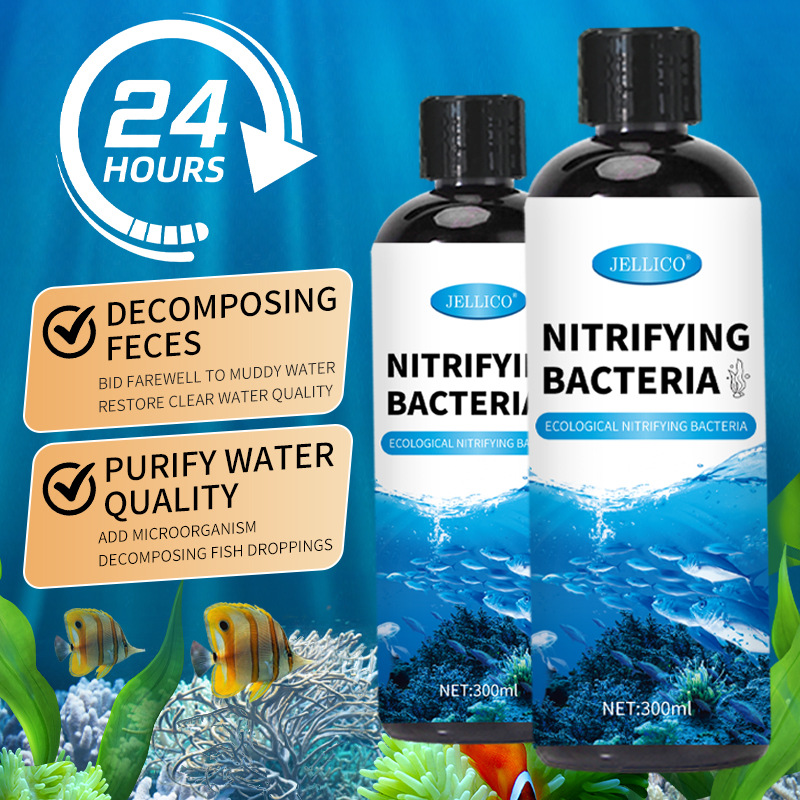 300ml 질산화 박테리아 수족관 물 정화기 물고기 배 - Marine Aquarium In Clearwater 리뷰 및 가격