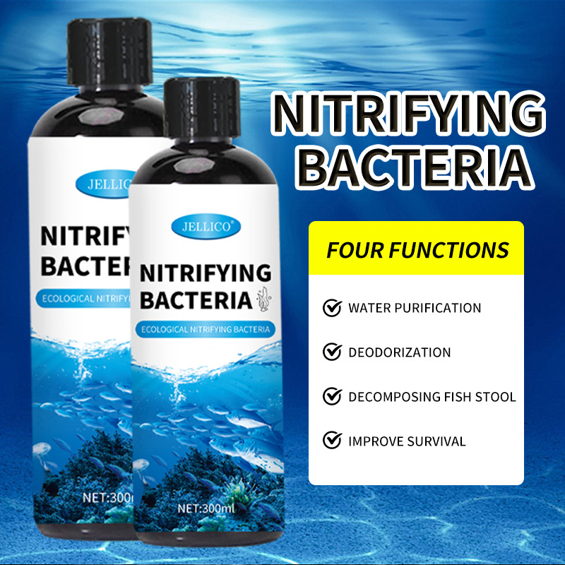 300ml 질산화 박테리아 수족관 물 정화기 물고기 배 - Marine Aquarium In Clearwater 리뷰 및 가격