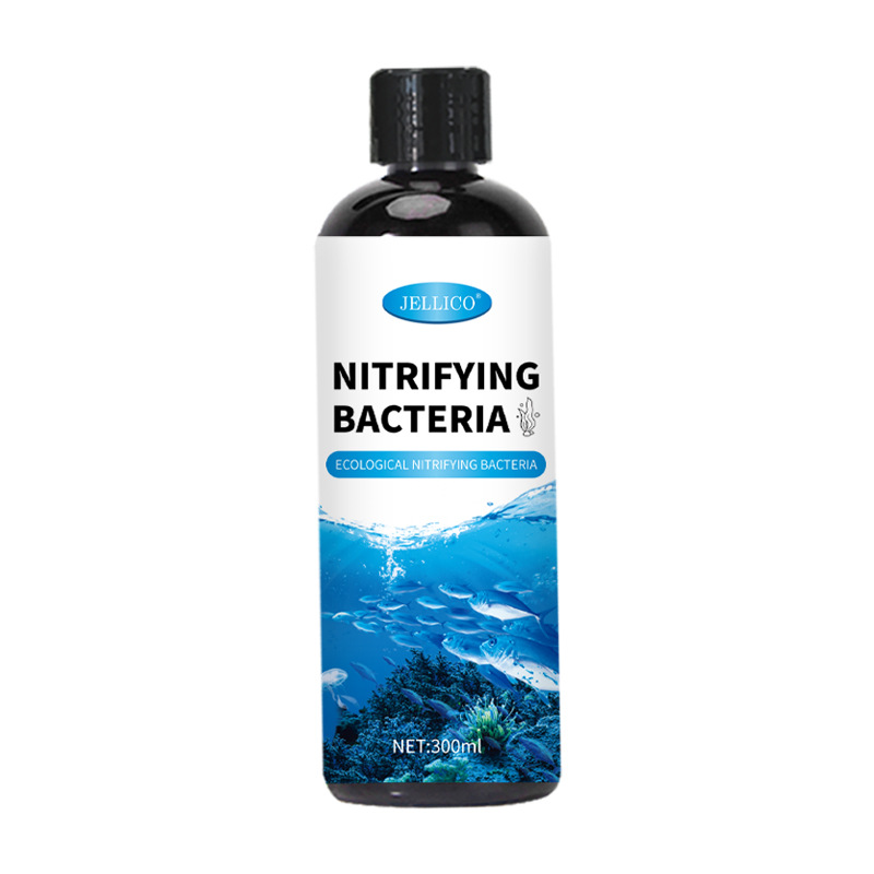 300ml 질산화 박테리아 수족관 물 정화기 물고기 배 - Marine Aquarium In Clearwater 리뷰 및 가격